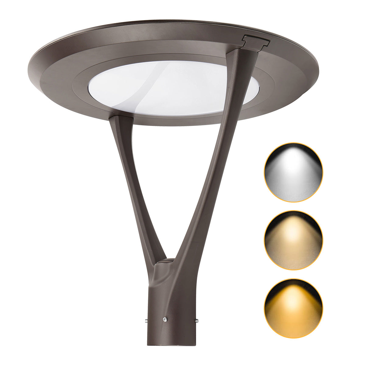 LED Post Top Light