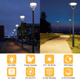 LED Post Top Light 130W, 17,200LM, Selectable Wattage & CCT Series